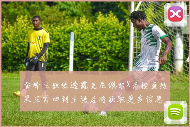 黄蜂主教练透露克尼佩尔X光检查结果正常回到主场后将获取更多信息