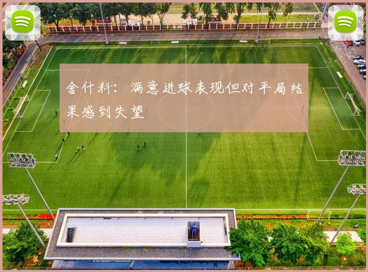 舍什科：满意进球表现但对平局结果感到失望