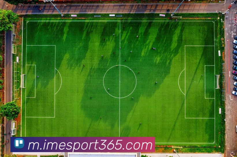 App Interface Preview