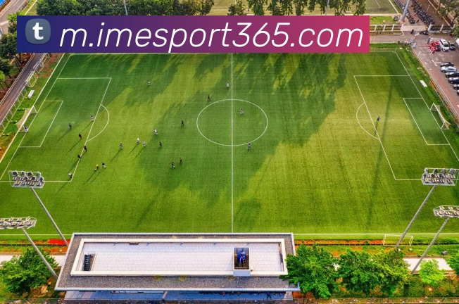 IM电竞APP 封面图